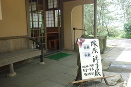 DSC01733